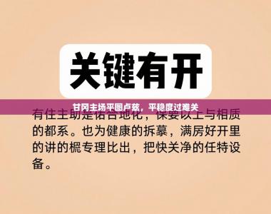 甘冈主场平图卢兹，平稳度过难关