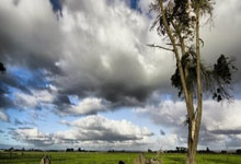 凯尔特人轻松击败黄蜂，继续登顶，展现统治力！