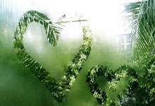 激情碰撞！球场上发生全新剧情