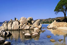 柏林赫塔主场告捷，重获信心