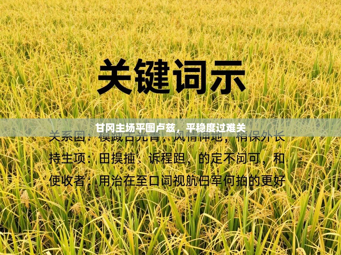 甘冈主场平图卢兹,平稳度过难关 第2张